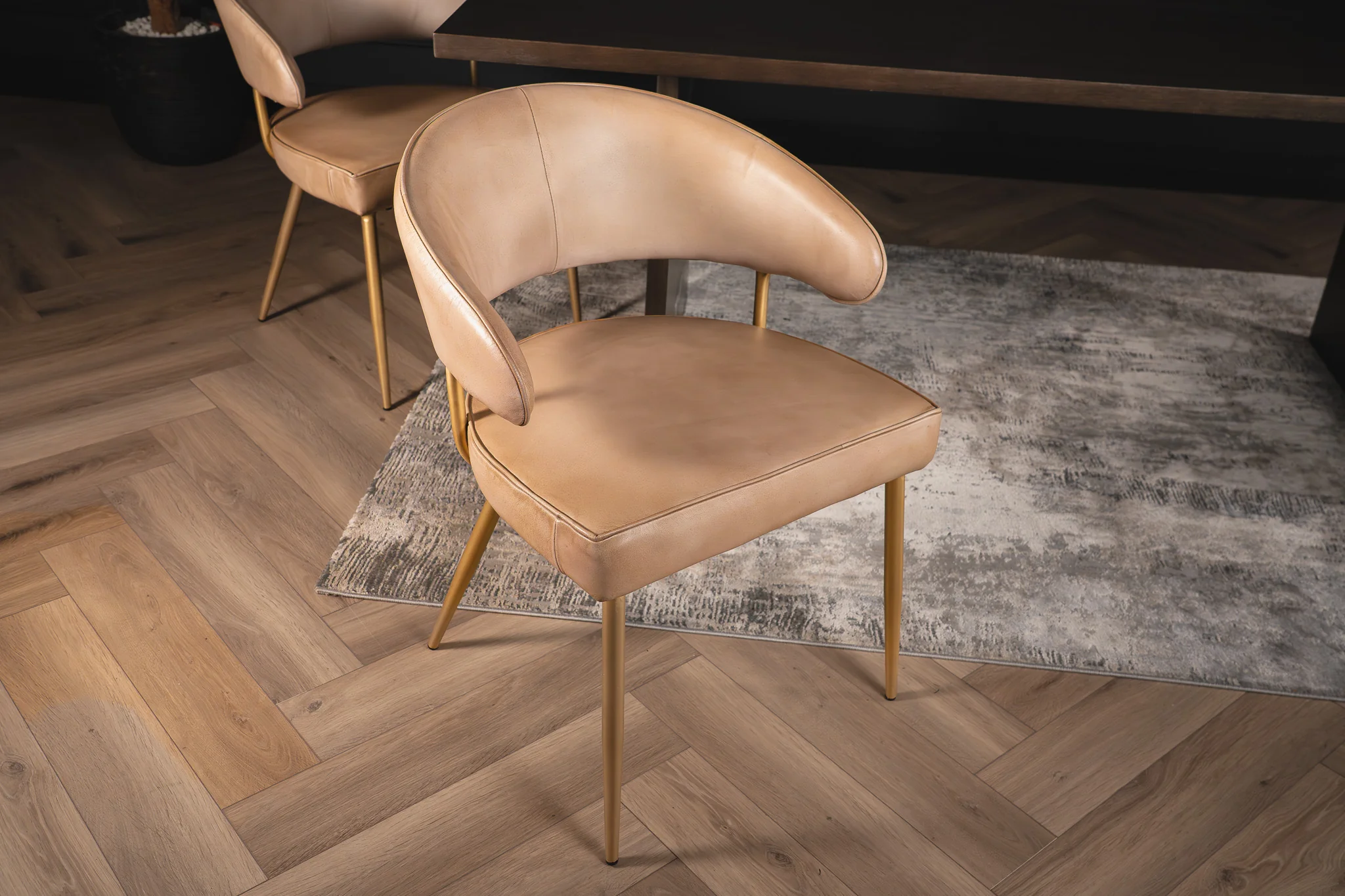 Genuine Leather Dining Chair Beige with Gold Legs – Vienna